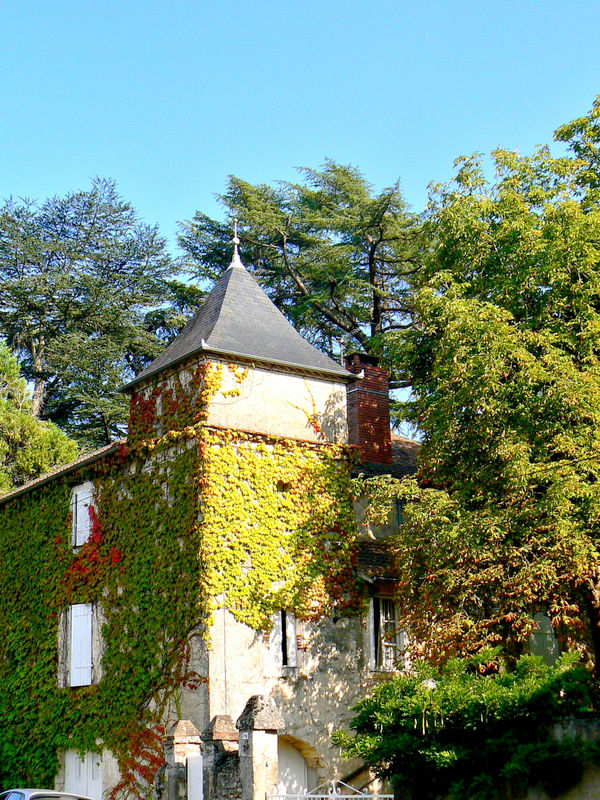 pigeonnier route de villefranche2